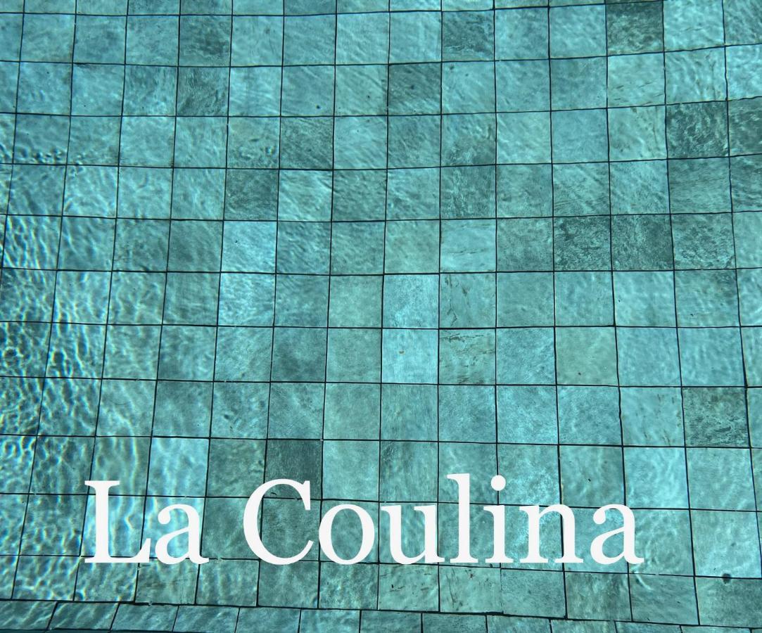 הוילה ניס La Coulina מראה חיצוני תמונה